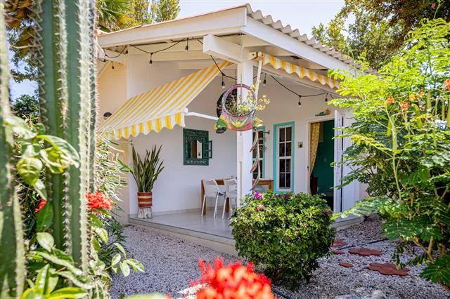 Seru Coral Curacao Casa Haffert-05