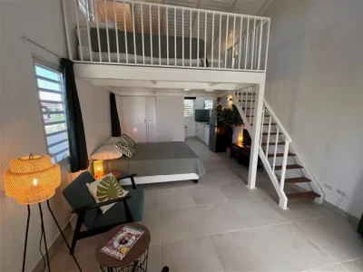 club seru coral curacao studio papaya